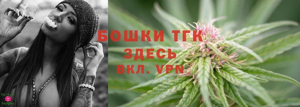 крисы Абаза