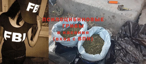 хмурый Абинск
