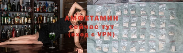 крисы Абаза