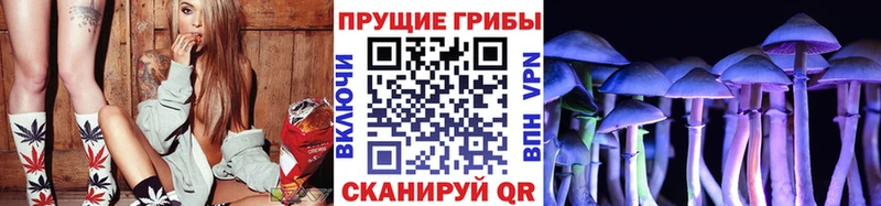 Псилоцибиновые грибы GOLDEN TEACHER МЕГА маркетплейс Цивильск